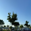 굽네치킨 방배1·3동점