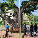 느티나무유치원 이미지