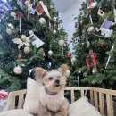 상하이한의원 | [월간HANDA] 2026년 01월