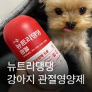 헬로펫 | 강아지 관절 영양제 추천｜헬로마이펫 뉴트리댕댕 관절 영양제 후기 1개월 급여해봄!