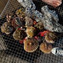 해금강펜션 해동 | 새해 맞이 여행 두번째 [해돋이&amp;거제도-feat.외도]