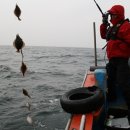 관광 꿈꾸는숲 펜션 이미지