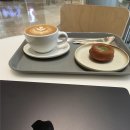 트리니티병원 | 트리니티 쿠션링 구매 후기(잠실 롯데)