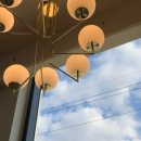 신정호호수한우 이미지