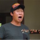 도그마실 이미지