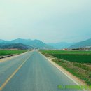 계성농장 | 뿌리깊은나무(뿌나) - 쭈니나라체험농장을 꿈꾸며 귀농귀촌귀산 새내기 라네~^^;;;