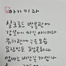 강보아트