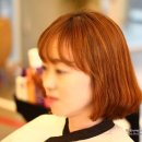 컬리수헤어 - 안양시 동안구 관양동 | 컬리수헤어