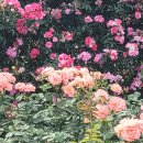 심곡1동주민자치센터 이미지