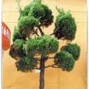 리틀영재어린이집 이미지