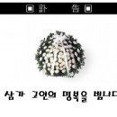 삼가-27 이미지