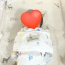 간편한 신생아 속싸개 추천 안나앤이브 스와들스트랩
