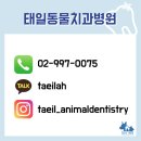 태일동물치과병원 이미지