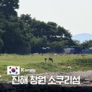 쌍용자동차창원사업소주 | 진해 창원 소쿠리섬 사슴 해루질 배시간표 화장실 꿀팁