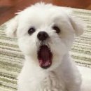 (주)우리마트 언양점 | 언양체형관리 세이김오영 피부앤건강, 비대칭 관리 후기