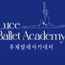 루체발레아카데미 이미지