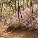 춘양면사무소 이미지