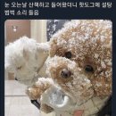 (주)이일 이미지