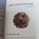 한기대 천안학 교양 과목 강의평가&amp;수강후기(코리아텍 재학생들 주목~!)