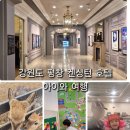 아부지농장 | 강원도 평창 켄싱턴 호텔 아기랑 여행 :: 키즈월드 실내풀 수영장 동물농장 즐기기 :: 맛집추천