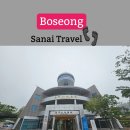녹색과푸름 주식회사 | 보성 가볼만한곳 대한다원,한국차박물관