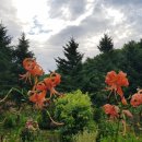 칠봉산 농장 이미지