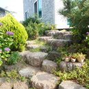 라이온힐펜션 이미지