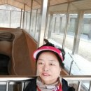 거북식당 이미지