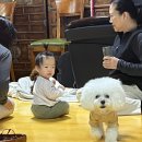 페이보릿174 이미지