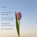 카인드 베이프