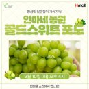 인아네 농원