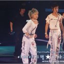 시아 Daum카페