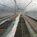 회원농장 이미지