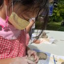 고달초등학교 이미지