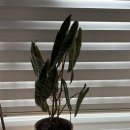 문산농약사 이미지