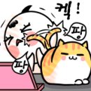 삼층고양이 이미지