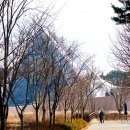 국립생태원 이미지