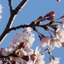 화정천1 이미지