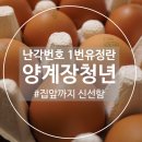 자연담은 들녘 자연양계장 | 양계장청년 난각1번 신선한 유정란의 특별함