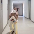 6세 영어유치원 안보내기로 한 엄마의 리딩공부방법(w. 리딩앤 ORC 퓨처팩)