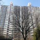 다산중앙약국 이미지