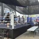 라이언복싱gym 이미지