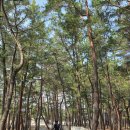 풍경시골손칼국수 이미지