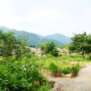 낙안읍성 이미지