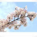 구)남상초등학교 이미지