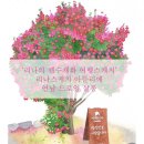 리나스케치