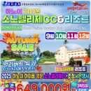 골프 9 이미지