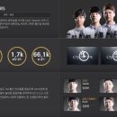 월드타이거즈 이미지