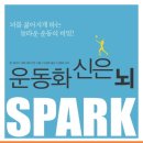 1등 석사경희대태권도장 이미지