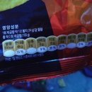 도도한 언니야